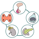 A pathogen has consumed this image