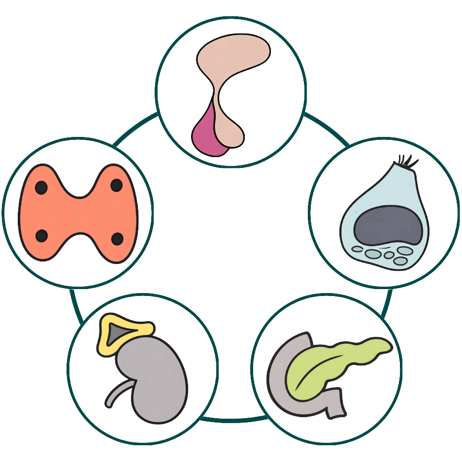 Endocrine Pathology